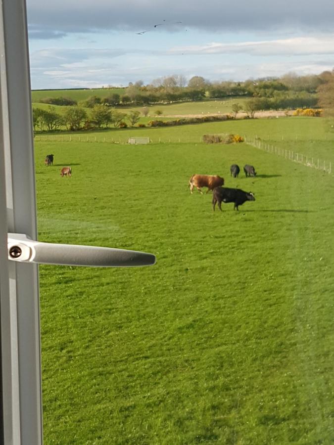 Brendan'S Apartment On Same Grounds As Family Home Armoy Exterior photo